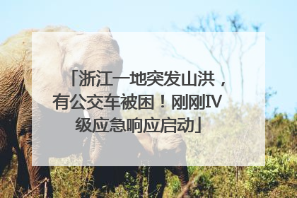 浙江一地突发山洪，有公交车被困！刚刚Ⅳ级应急响应启动