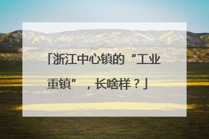 浙江中心镇的“工业重镇”，长啥样？