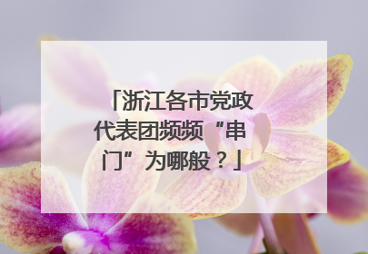 浙江各市党政代表团频频“串门”为哪般？