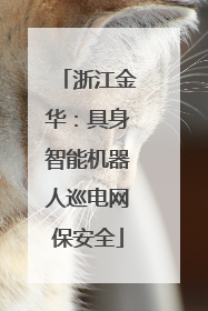 浙江金华：具身智能机器人巡电网保安全