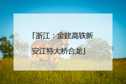 浙江：金建高铁新安江特大桥合龙