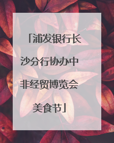 浦发银行长沙分行协办中非经贸博览会美食节