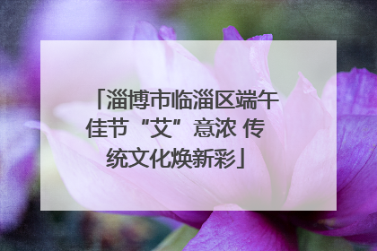 淄博市临淄区端午佳节“艾”意浓 传统文化焕新彩