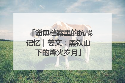 淄博档案里的抗战记忆｜姜文：黑铁山下的烽火岁月