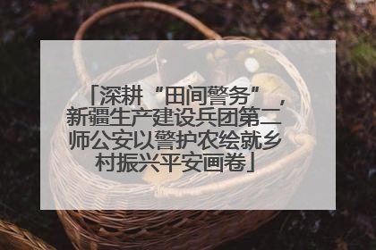 深耕“田间警务”，新疆生产建设兵团第二师公安以警护农绘就乡村振兴平安画卷