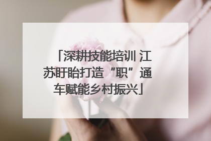 深耕技能培训 江苏盱眙打造“职”通车赋能乡村振兴