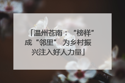温州苍南：“榜样”成“邻里” 为乡村振兴注入好人力量