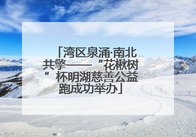 湾区泉涌·南北共擎——“花楸树”杯明湖慈善公益跑成功举办