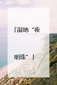 湿地“夜明珠”