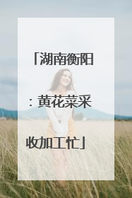 湖南衡阳：黄花菜采收加工忙