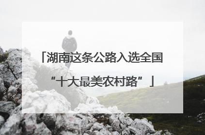 湖南这条公路入选全国“十大最美农村路”