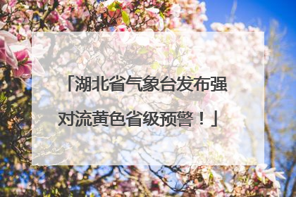 湖北省气象台发布强对流黄色省级预警！
