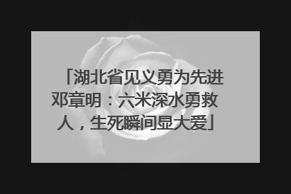 湖北省见义勇为先进邓章明：六米深水勇救人，生死瞬间显大爱