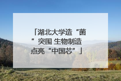 湖北大学造“菌”突围 生物制造点亮“中国芯”