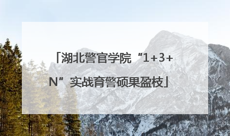 湖北警官学院“1+3+N”实战育警硕果盈枝