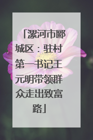 漯河市郾城区：驻村第一书记王元明带领群众走出致富路