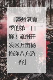 漳州港夏季的第一口鲜！漳州开发区万亩杨梅迎八方游客