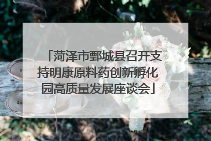 菏泽市鄄城县召开支持明康原料药创新孵化园高质量发展座谈会