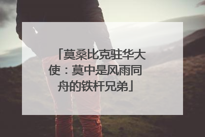 莫桑比克驻华大使：莫中是风雨同舟的铁杆兄弟