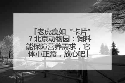 老虎瘦如“卡片”？北京动物园：饲料能保障营养需求，它体重正常，放心吧