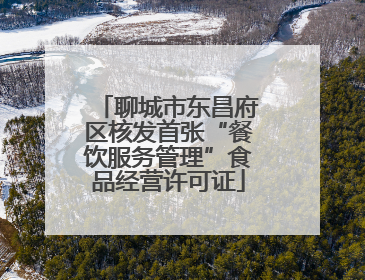 聊城市东昌府区核发首张“餐饮服务管理”食品经营许可证