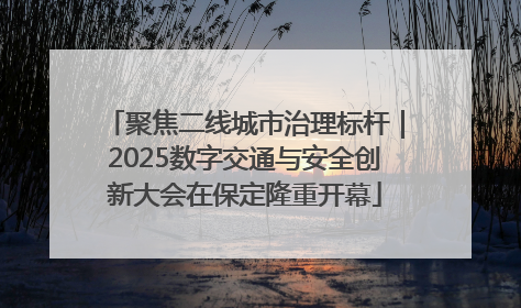 聚焦二线城市治理标杆｜2025数字交通与安全创新大会在保定隆重开幕