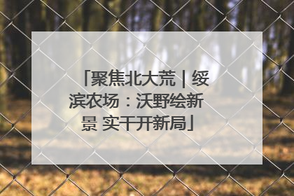 聚焦北大荒｜绥滨农场：沃野绘新景 实干开新局
