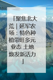 聚焦北大荒｜延军农场：特色种植带旺多元业态 土地焕发新活力