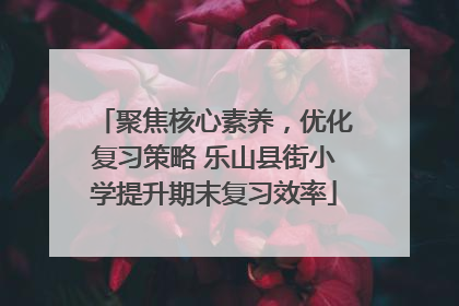 聚焦核心素养，优化复习策略 乐山县街小学提升期末复习效率