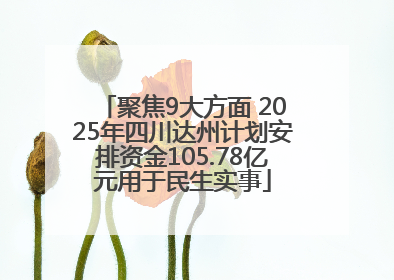 聚焦9大方面 2025年四川达州计划安排资金105.78亿元用于民生实事