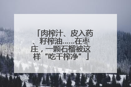 肉榨汁、皮入药、籽榨油……在枣庄，一颗石榴被这样“吃干榨净”