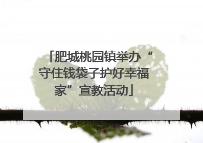 肥城桃园镇举办“守住钱袋子护好幸福家”宣教活动