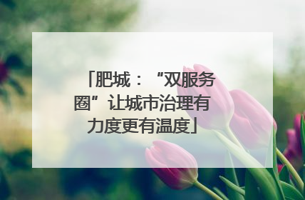 肥城：“双服务圈”让城市治理有力度更有温度