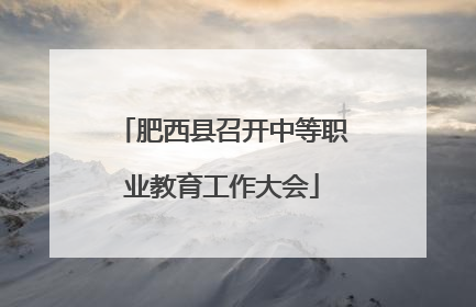 肥西县召开中等职业教育工作大会