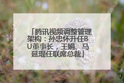 腾讯视频调整管理架构：孙忠怀升任BU董事长，王娟、马延琨任联席总裁