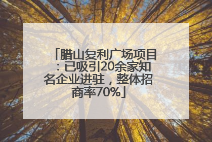 腊山复利广场项目：已吸引20余家知名企业进驻，整体招商率70%