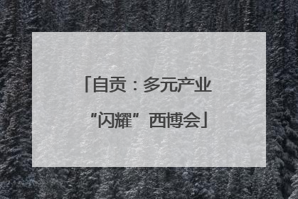 自贡：多元产业“闪耀”西博会