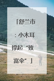 舒兰市：小木耳撑起“致富伞”