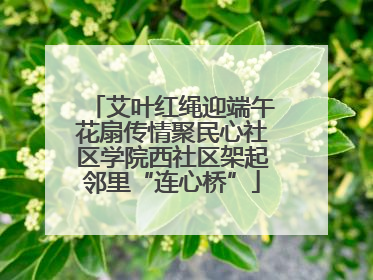 艾叶红绳迎端午花扇传情聚民心社区学院西社区架起邻里“连心桥”
