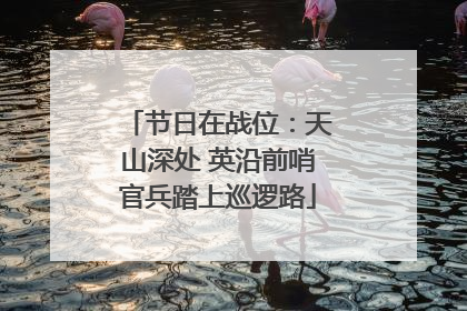 节日在战位：天山深处 英沿前哨官兵踏上巡逻路