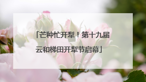 芒种忙开犁！第十九届云和梯田开犁节启幕