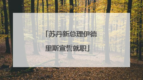苏丹新总理伊德里斯宣誓就职