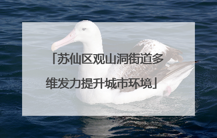 苏仙区观山洞街道多维发力提升城市环境