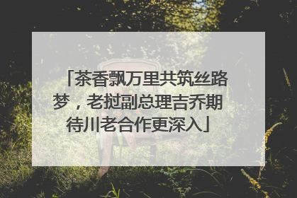 茶香飘万里共筑丝路梦，老挝副总理吉乔期待川老合作更深入
