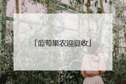 葡萄果农迎夏收