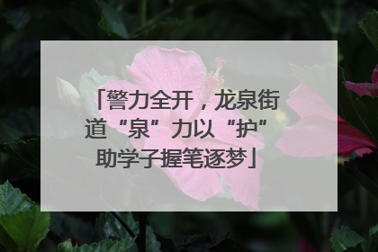 警力全开，龙泉街道“泉”力以“护”助学子握笔逐梦