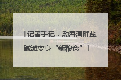 记者手记：渤海湾畔盐碱滩变身“新粮仓”