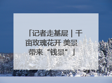 记者走基层｜千亩玫瑰花开 美景带来“钱景”