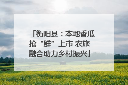 衡阳县：本地香瓜抢“鲜”上市 农旅融合助力乡村振兴