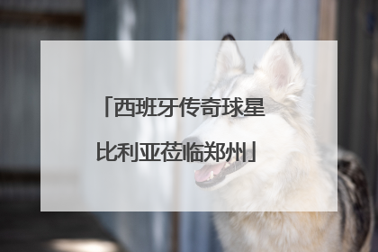 西班牙传奇球星 比利亚莅临郑州